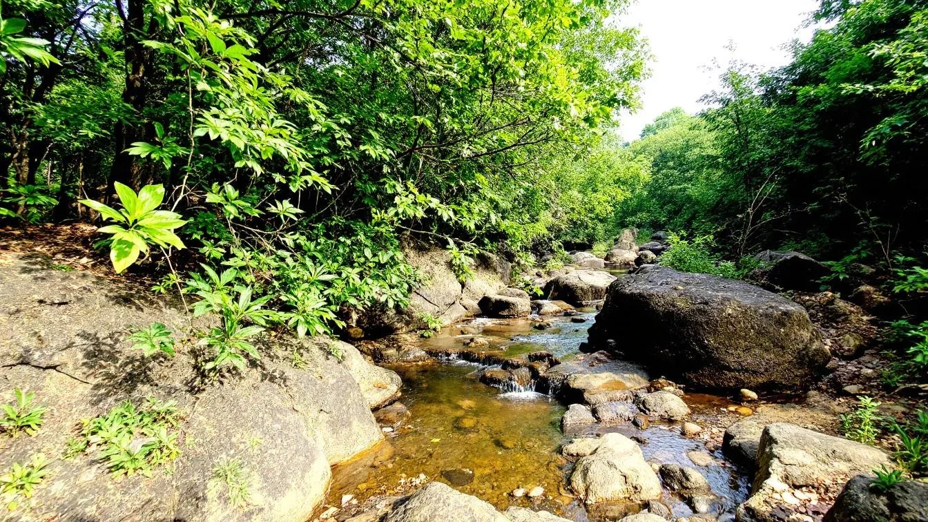 De loodgieterswaarschuwing: waarom azijn en baking soda je afvoer juist kunnen ruïneren